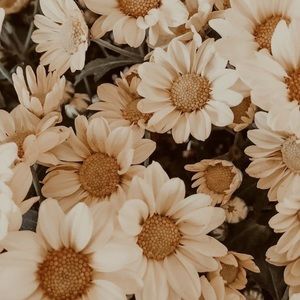 Meet your Posher, Angel